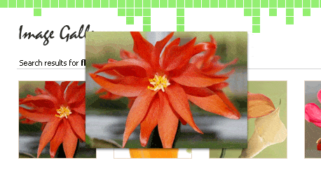 Telerik UI for ASP.NET AJAX Tooltip - Automatic Tooltips