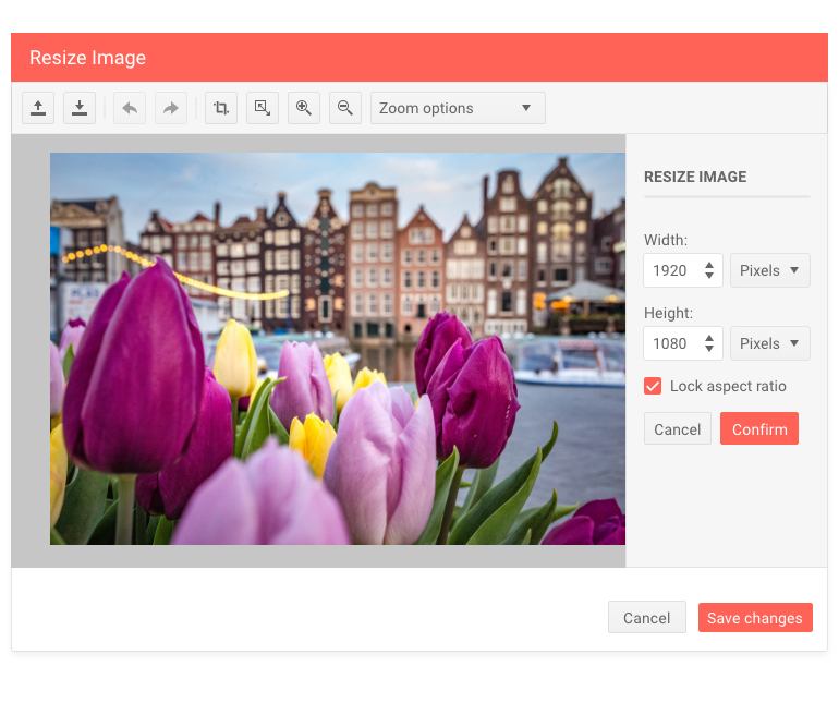 Telerik UI for ASP.NET MVC Image Editor Dialog Resize