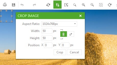 Telerik UI for ASP.NET AJAX Image Editor - image editing