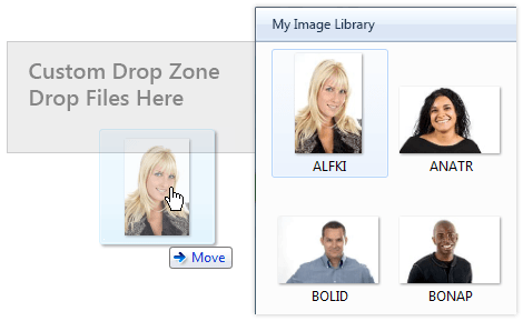Telerik UI for ASP.NET AJAX Upload (Async) - drag and drop
