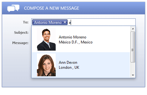 Telerik UI for ASP.NET AJAX AutoCompleteBox - head