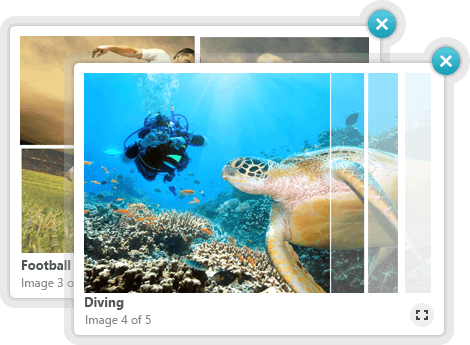 Telerik UI for ASP.NET AJAX LightBox - animations