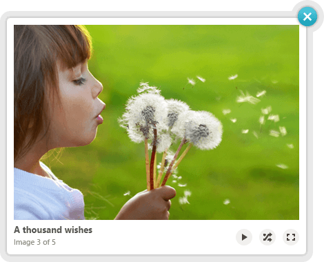 Telerik UI for ASP.NET AJAX LightBox - size