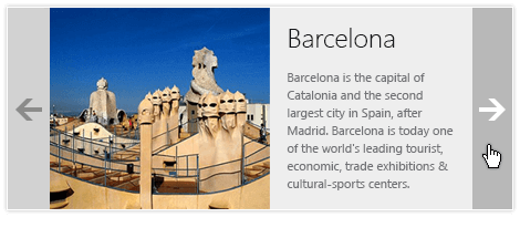 Telerik UI for ASP.NET AJAX MultiView - organize content