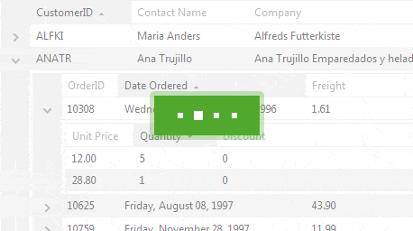 Telerik UI for ASP.NET AJAX - RadPanel