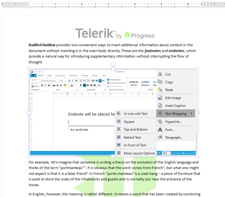 Telerik UI for ASP.NET AJAX WordsProcessing - Inline and Floating Images