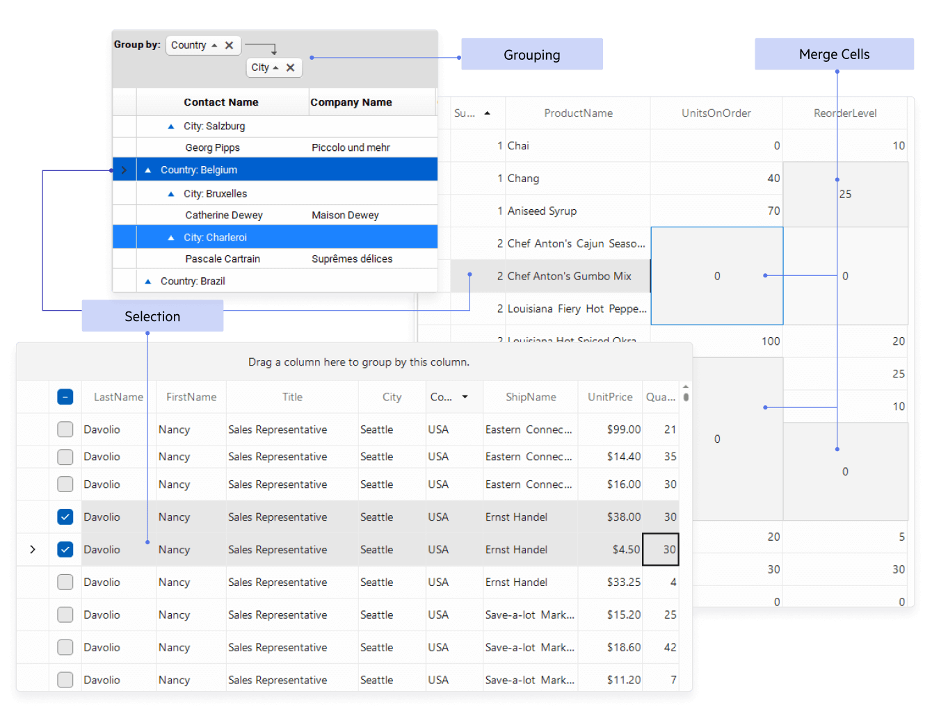 Display and manage large, complex datasets with high performance and full interactivity Illustration