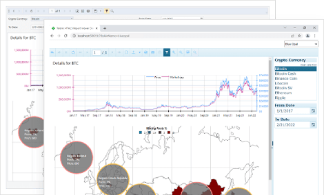 Telerik Report Viewer