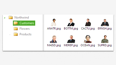 Telerik UI for ASP.NET AJAX File Explorer - interface