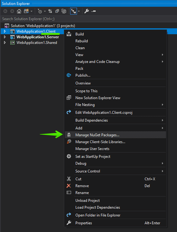 Manage NuGet Packages