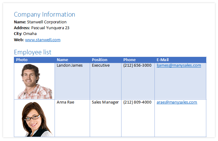 Telerik UI for ASP.NET AJAX WordsProcessing - Bookmarks and Hyperlinks