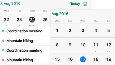 Telerik UI for Xamarin Demos Overview Image